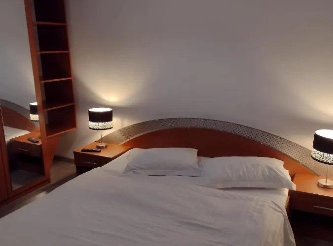 Vivido 클루지나포카